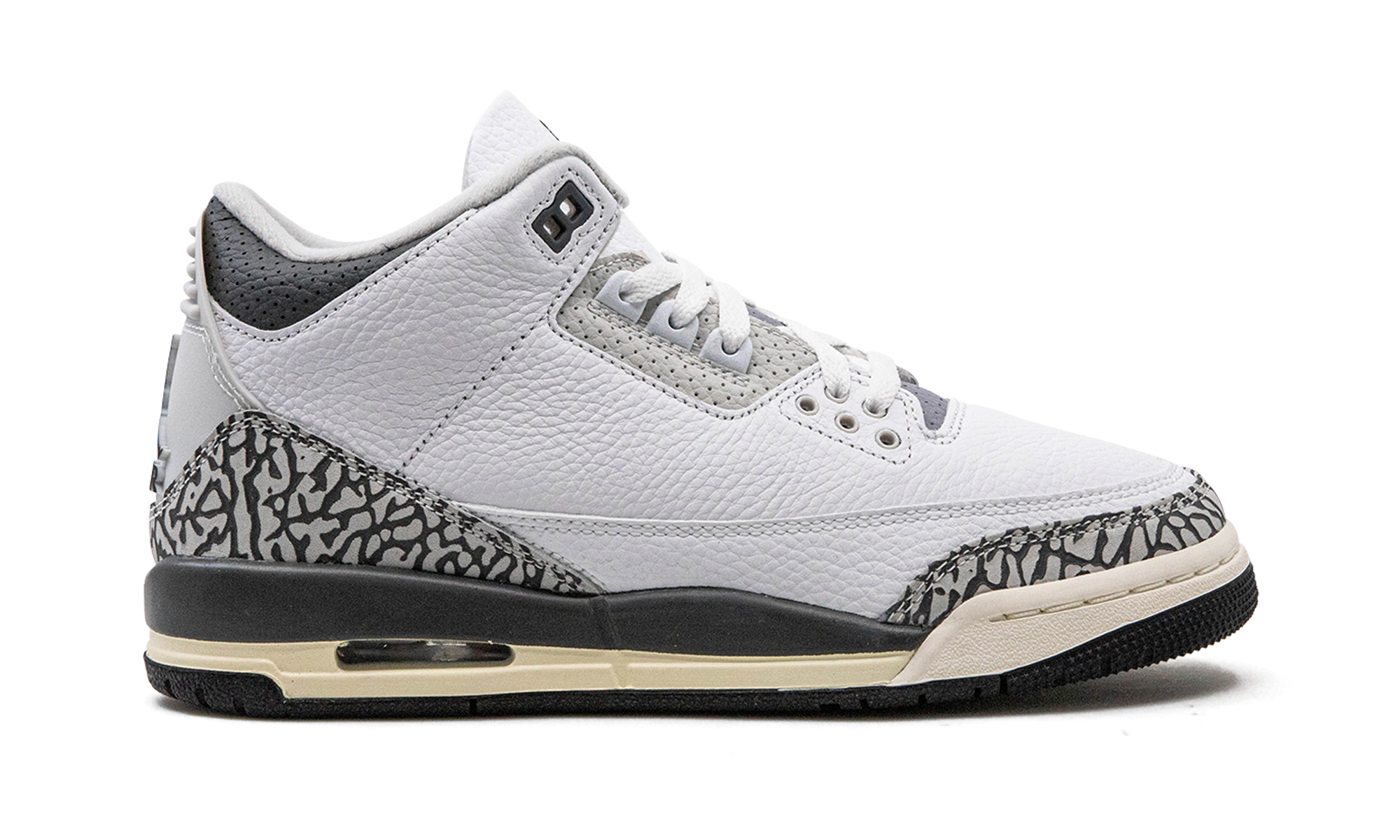 Air Jordan 3 GS Hide N Sneak DX6665 100