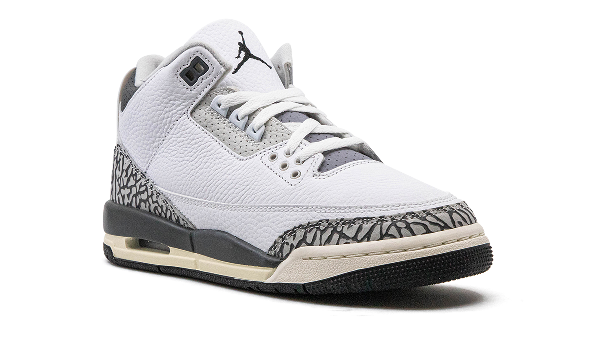 Air Jordan 3 GS Hide N Sneak DX6665 100