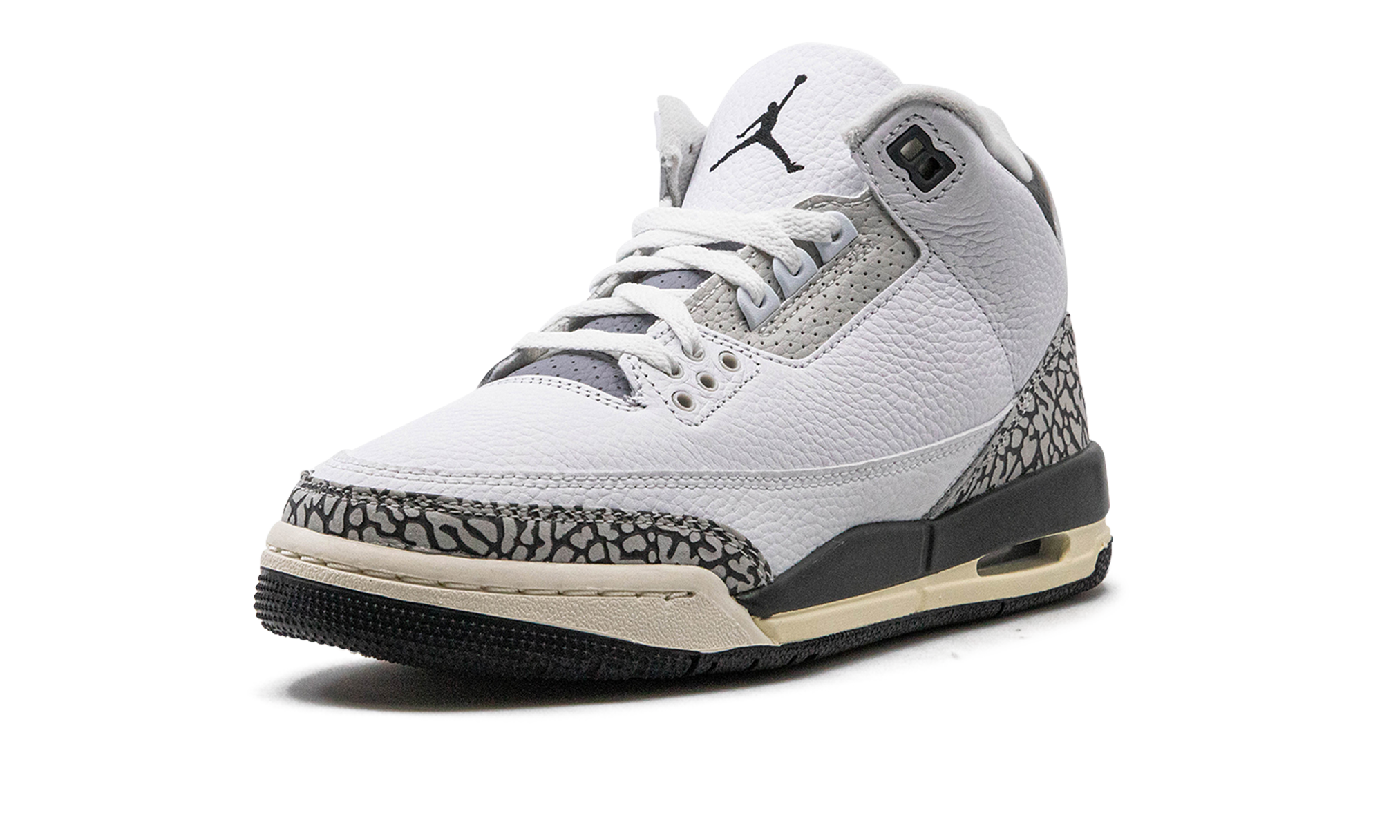Air Jordan 3 GS Hide N Sneak DX6665 100