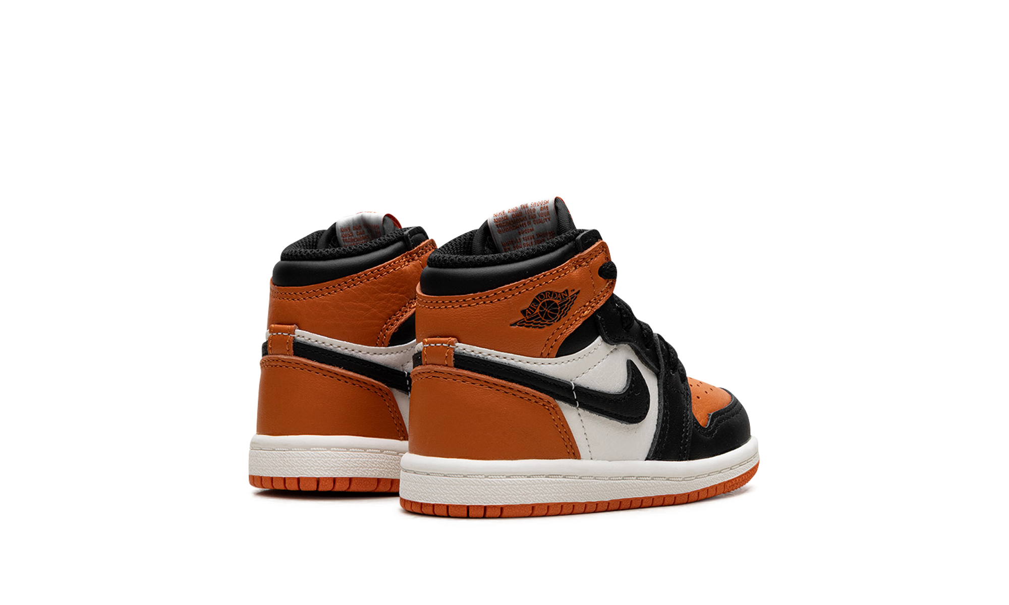 Air Jordan 1 Retro High OG TD Shattered Backboard FD1413 008