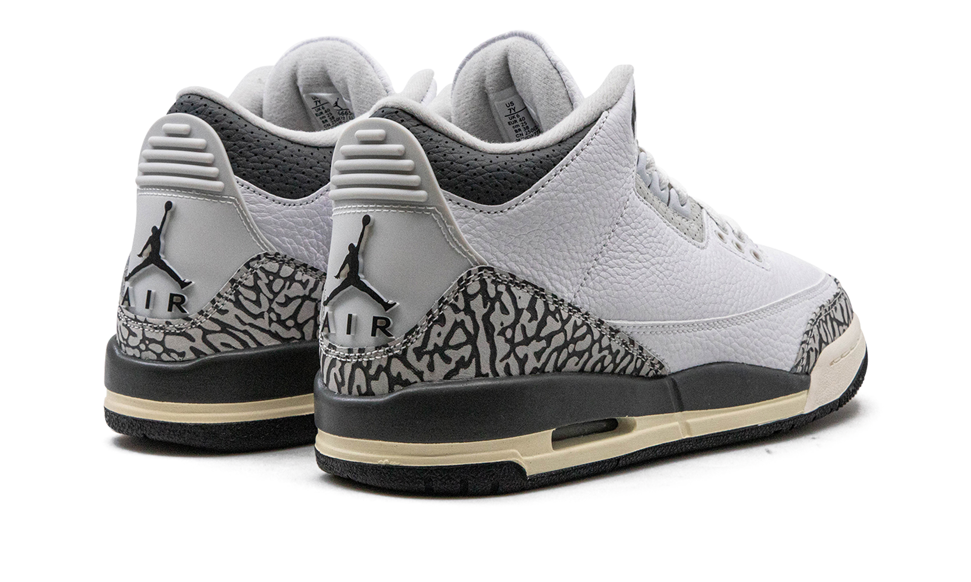 Air Jordan 3 GS Hide N Sneak DX6665 100