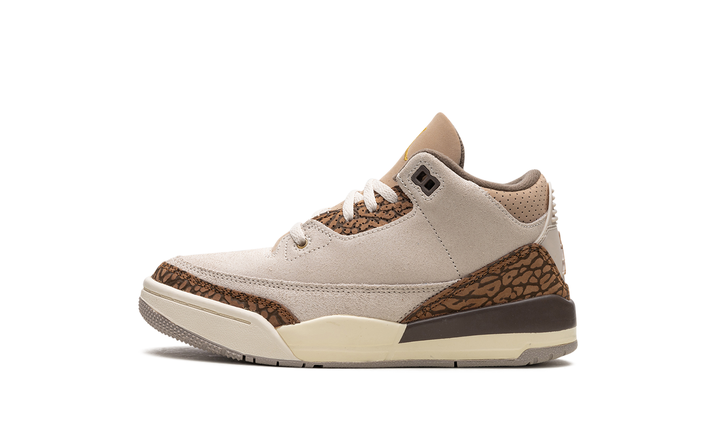 Air Jordan 3 PS Palomino DM0966 102